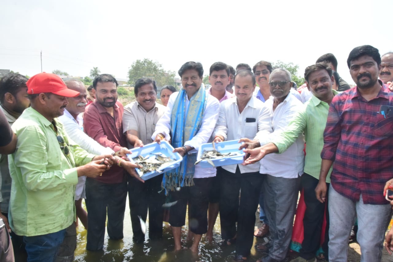 మత్స్యశాఖ అభివృద్ధికి ప్రభుత్వం కృషి : ఎంఎల్‌ఎ