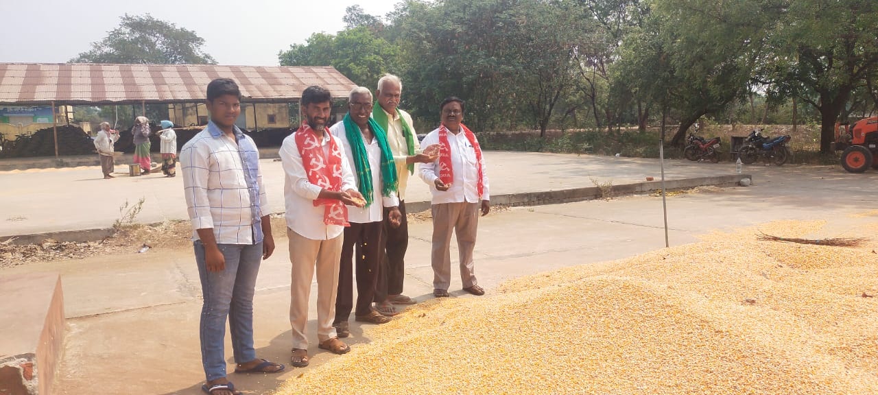మొక్కజొన్నను గిట్టుబాటు ధరకే కొనుగోలు చేయాలి
