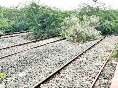 కడప- బెంగుళూరు రైల్వే లైను కు గ్రహణం