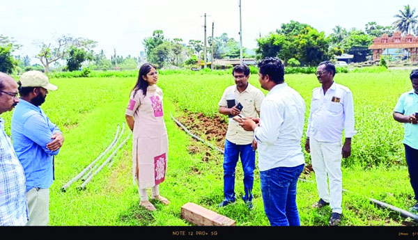 సర్వే రాళ్లను కచ్చితత్వంతో ఏర్పాటు