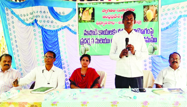 నాణ్యమైన పండ్ల ఉత్పత్తితో లాభాలు