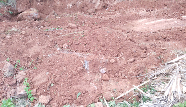 Illegal-quarrying-of-colored-stones-in-forest-land