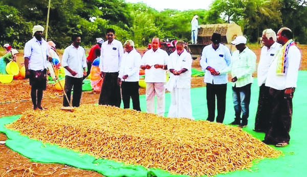 పసుపు కొనుగోలు కేంద్రాలు ఏర్పాటు చేయాలి