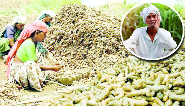 Yellow-farmers-selling-land