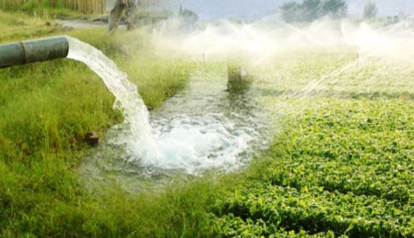 Farmers-living-in-boru