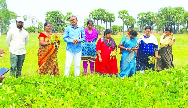 బెట్టకొచ్చిన పైర్లకు నీటి తడులివ్వండి