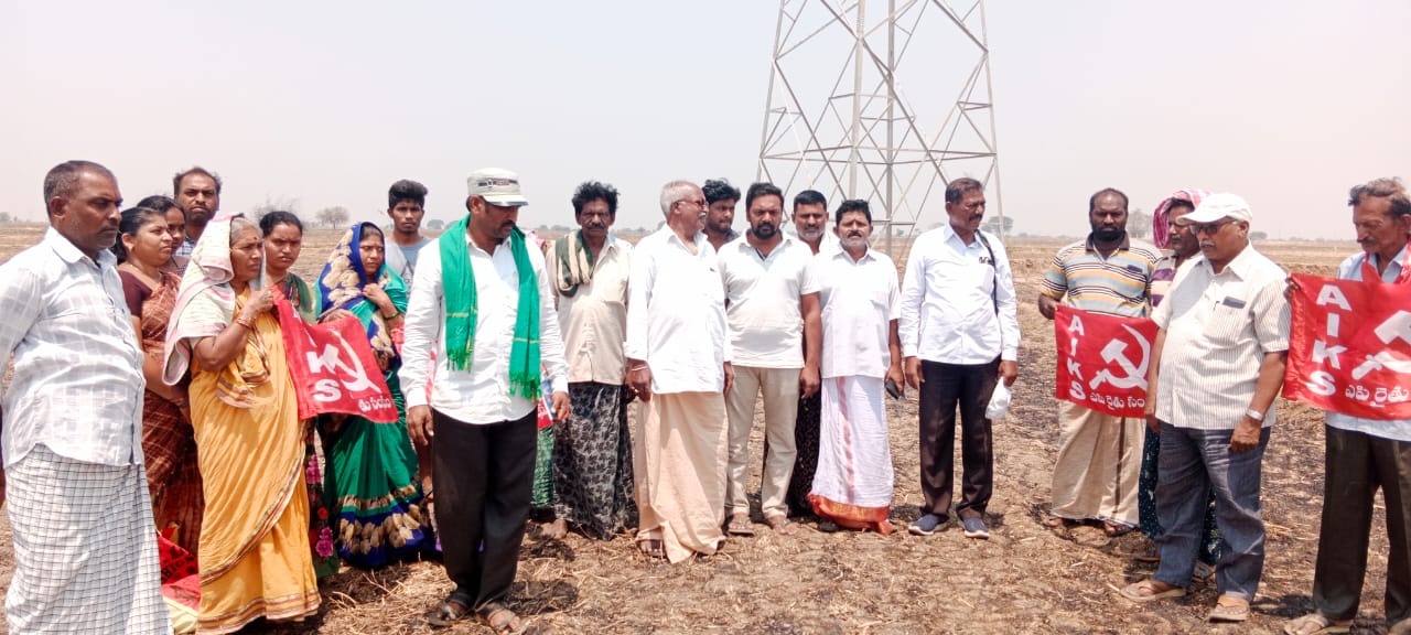 బాధిత రైతుల పొలాలను పరిశీలిస్తున్న నాయకులు