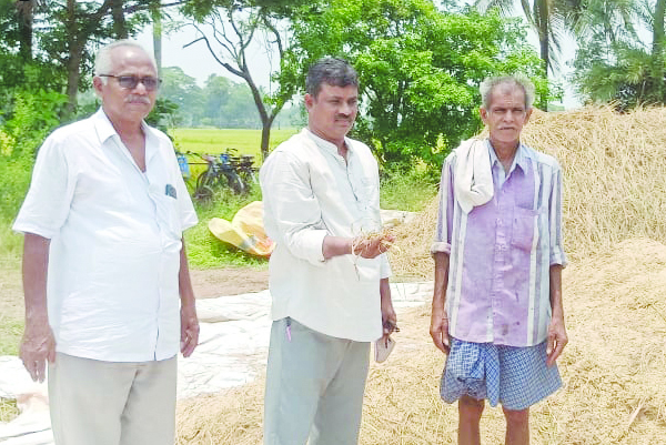 'బొండాలు' కొనుగోలు చర్యలు చేపట్టాలి