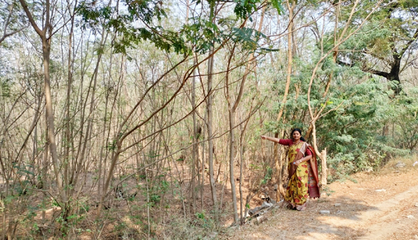 demand-for-msp-to-subabul-crop