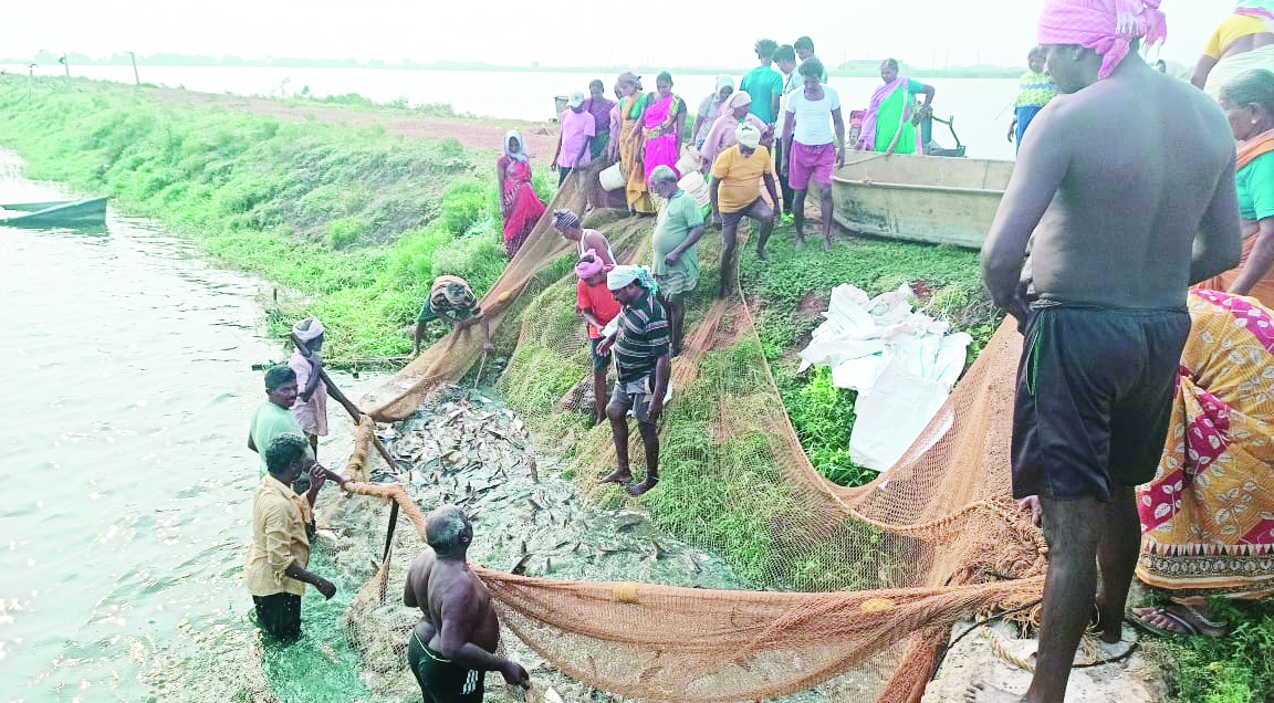 దోసపాడు భూపోరాటం మరింత ఉధృతం