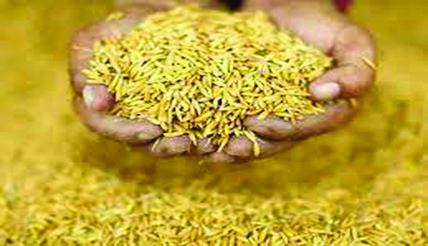 Below-is-a-graph-of-food-yields