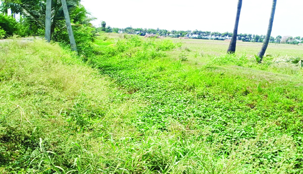 Neglect-of-the-Krishna-Delta