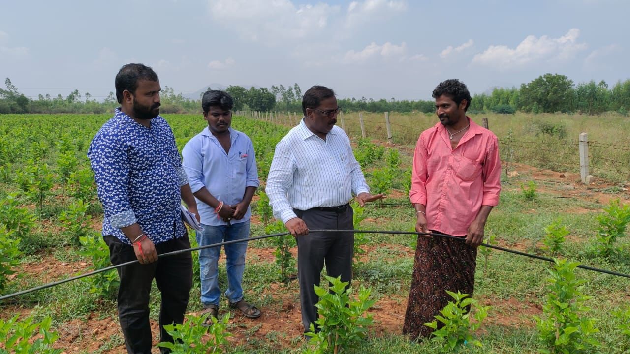 పలుచోట్ల ఎపిఎంఐ డైరెక్టర్‌ పరిశీలన