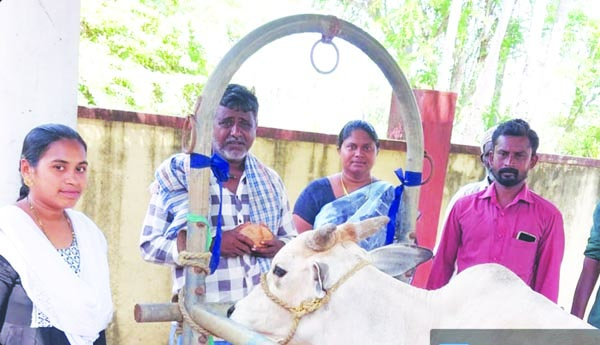 గాలికుంటు వ్యాధి టీకాలు వేయించాలి