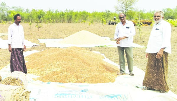ప్రైవేట్‌ వ్యాపారుల వైపు.. శనగ రైతుల చూపు