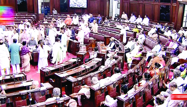Is-this-the-function-of-legislatures
