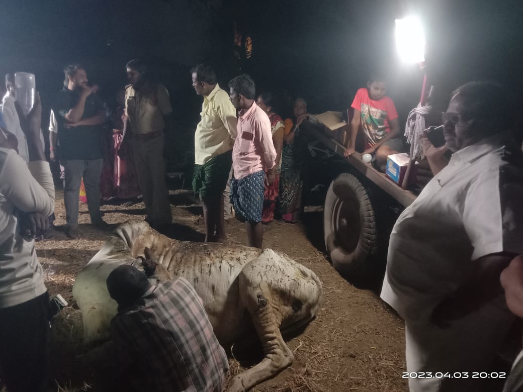 సంఘటనను పరిశీలిస్తున్న ఎస్‌ఐ, మాజీ జెడ్పిటిసి నాగిరెడ్డి