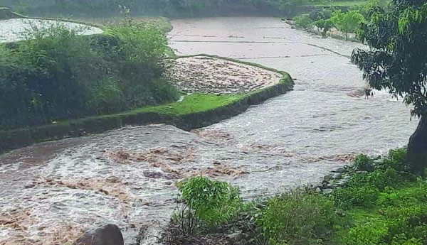 మన్యంలో కుండపోత వర్షం