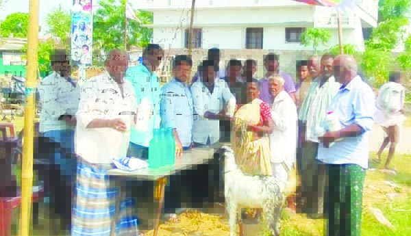 ఉచిత పశు వైద్య శిబిరం