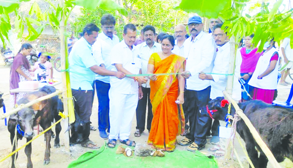 పశువుల్లో కృత్రిమ గర్భధారణపై అవగాహన