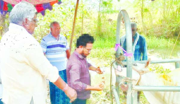 పశువులకు టీకాలు వేయించాలి