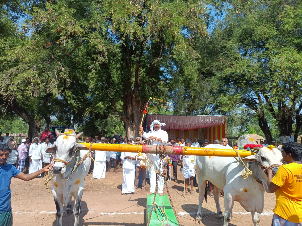 బండలాగుడు పోటీలు ప్రారంభిస్తున్న ఆళ్లగడ్డ మార్కెట్ యార్డ్ కమిటీ చైర్మన్ గంధం రాఘవరెడ్డి.