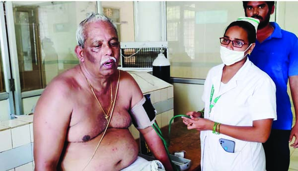 భక్తులపై తేనెటీగల దాడి