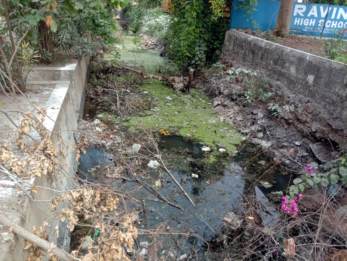 మురుగుతో నిండిన పంటకాల్వ