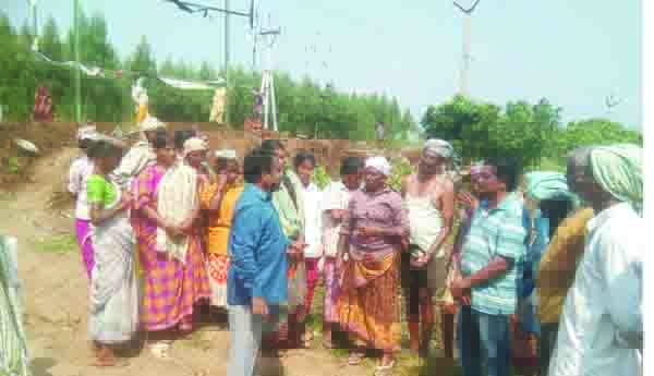 ఉపాధి హామి పనుల పరిశీలన