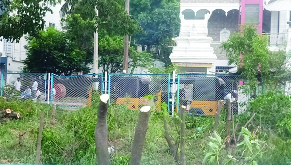 ఆలయం కనిపించలేదని చెట్లు నరికివేత