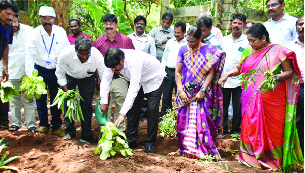 వర్సిటీ ప్రాంగణాన్ని పర్యావరణహితంగా మలచాలి