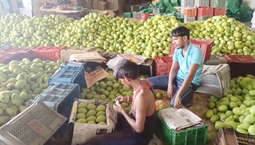 మామిడి ధరలకు రెక్కలు