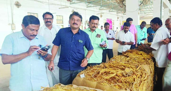 పొగాకు వేలం పరిశీలన
