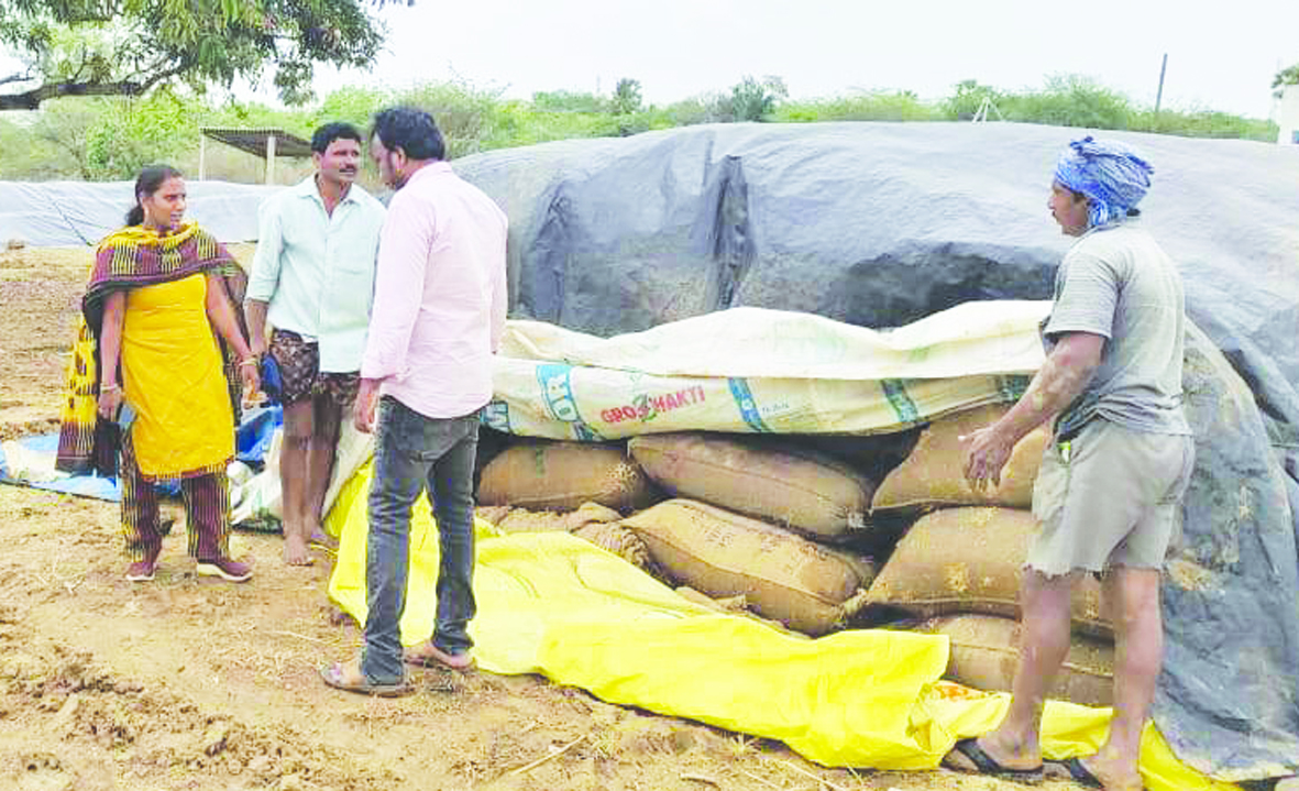 ధాన్యం సేకరణ లక్ష్యం పెంపు