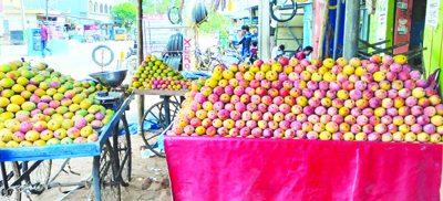  పడకే