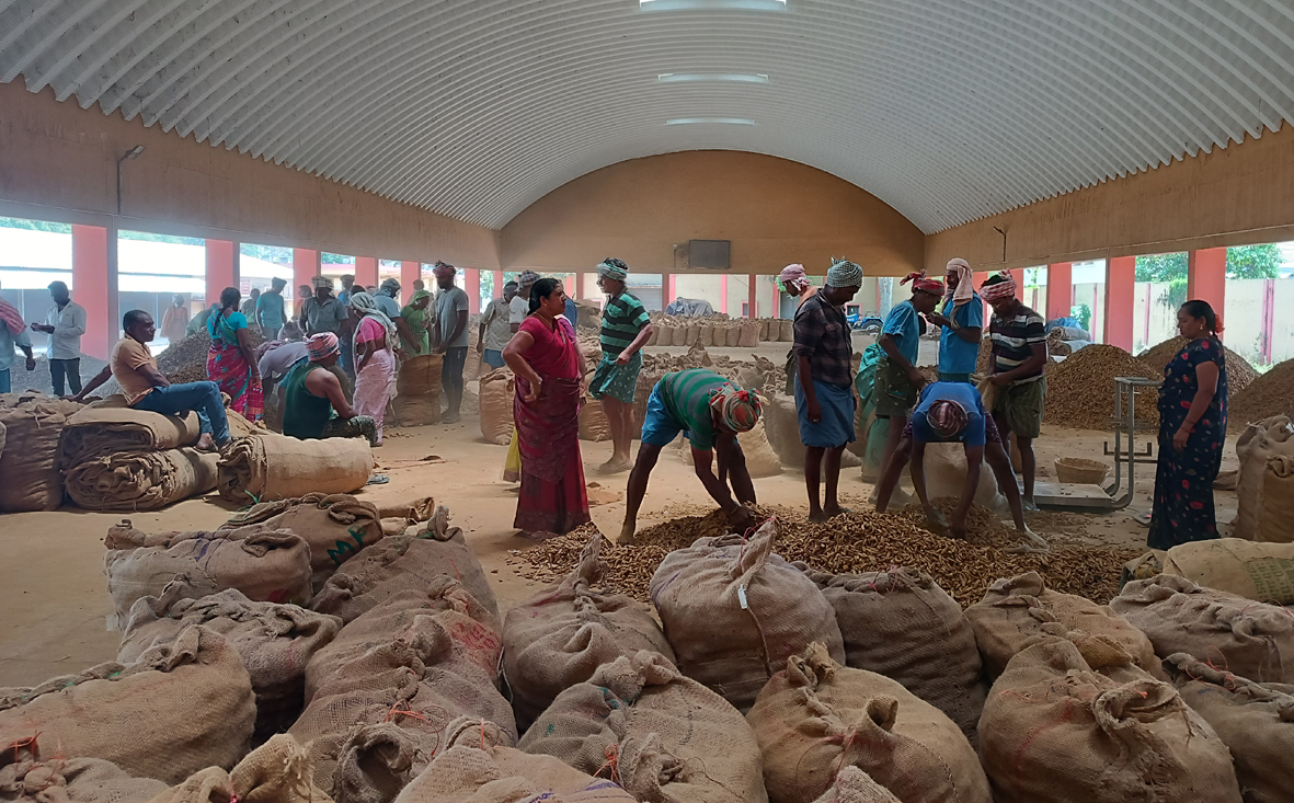 ధరల్లేక పసుపు రైతు డీలా