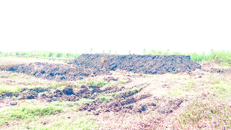 కొల్లేరులో తవ్వుకో.. దండుకో..!