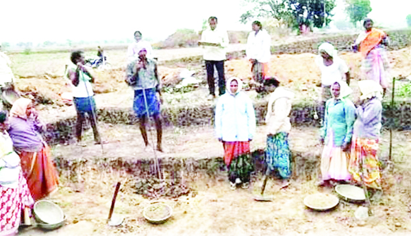 మస్తర్ల మాయాజాలం