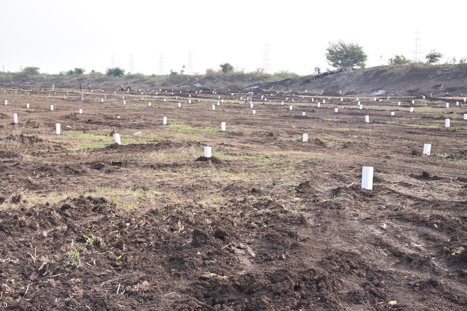 చురుగ్గా లే అవుట్‌ల నిర్మాణం