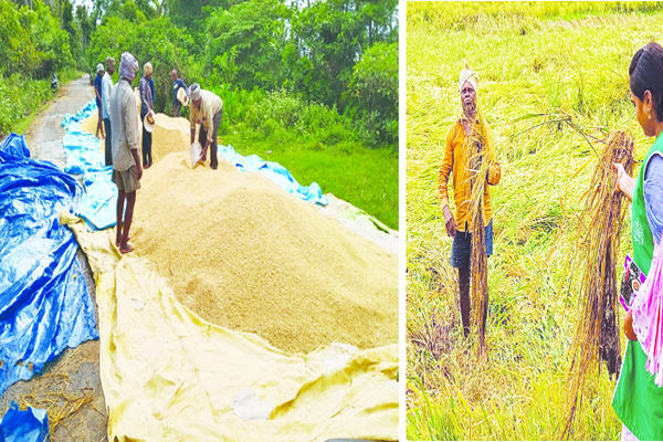 కళ్లాల్లోని కష్టం కన్నీటి పాలు