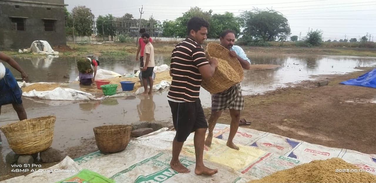 చాగలమర్రి మండలంలో తడిసిన ధాన్యాన్ని ఆరబోస్తున రైతులు