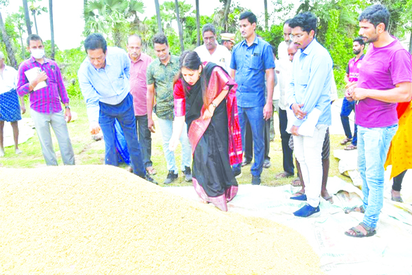 ధాన్యమంతా కొనుగోలు చేస్తాం