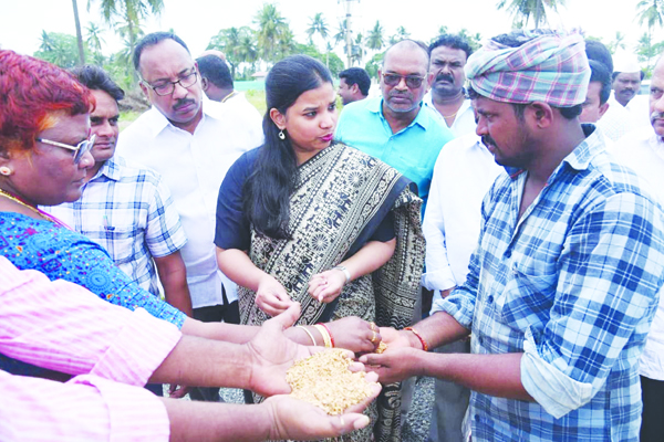 ప్రతీ ధాన్యం గింజా కొనుగోలు చేస్తాం