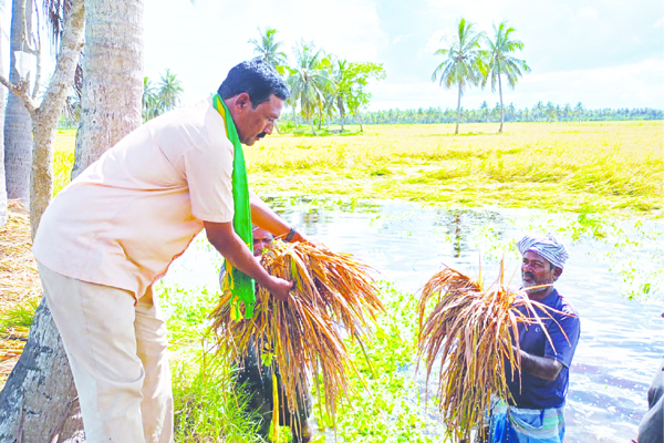 నిబంధనలు సడలించాలి