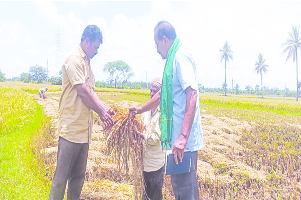 మిల్లర్ల జాప్యం అరికట్టాలి