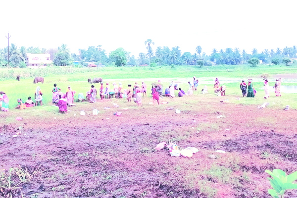 అయ్యో.. ఉపాధి కూలీలు