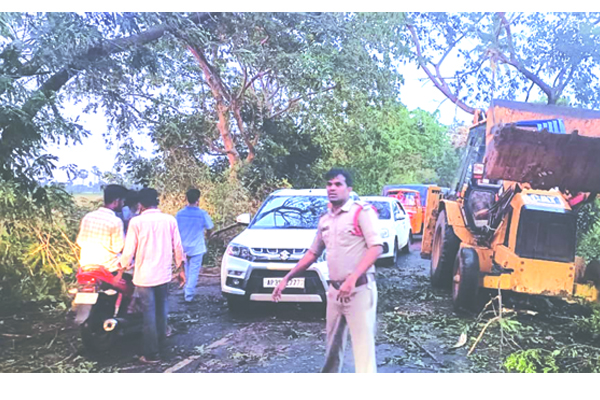 వర్షం, ఈదురుగాలుల బీభత్సం