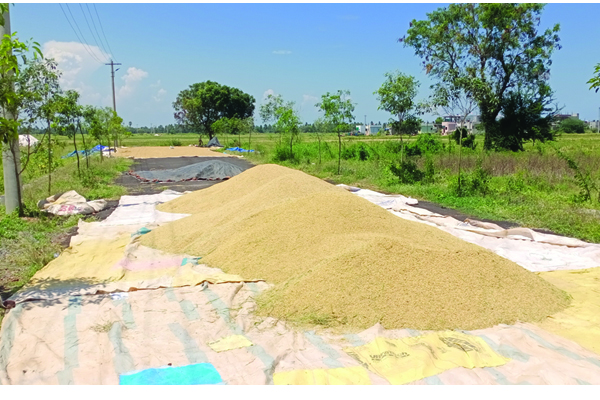 వెంటాడుతున్న వర్షం భయం