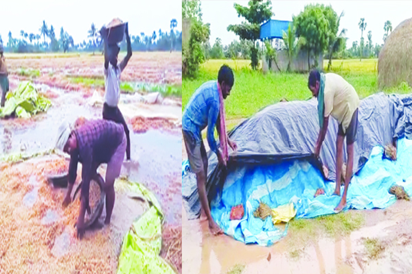 ప్రకృతి కన్నెర్ర