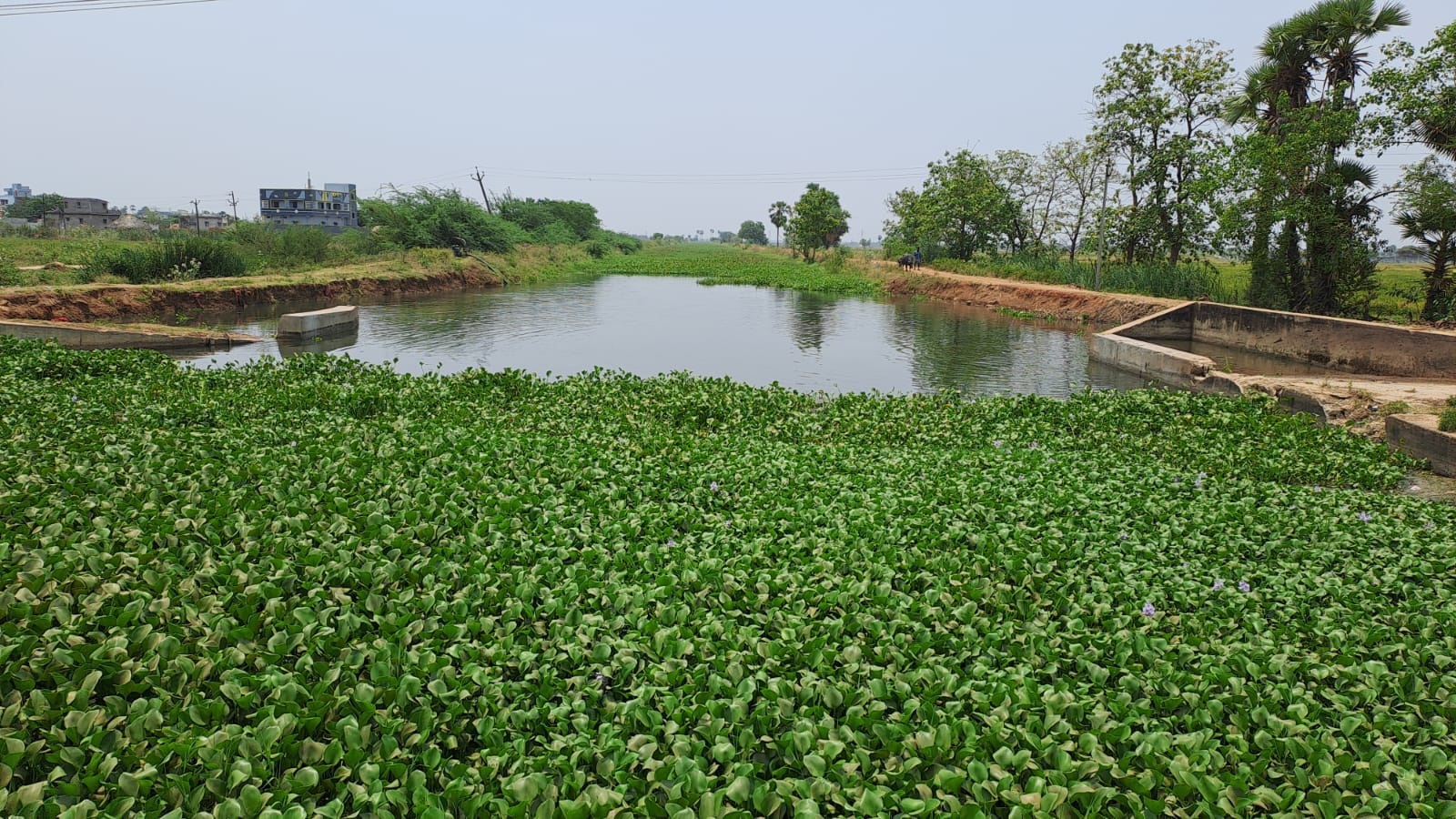 పట్టాలెక్కని ప్రగతి